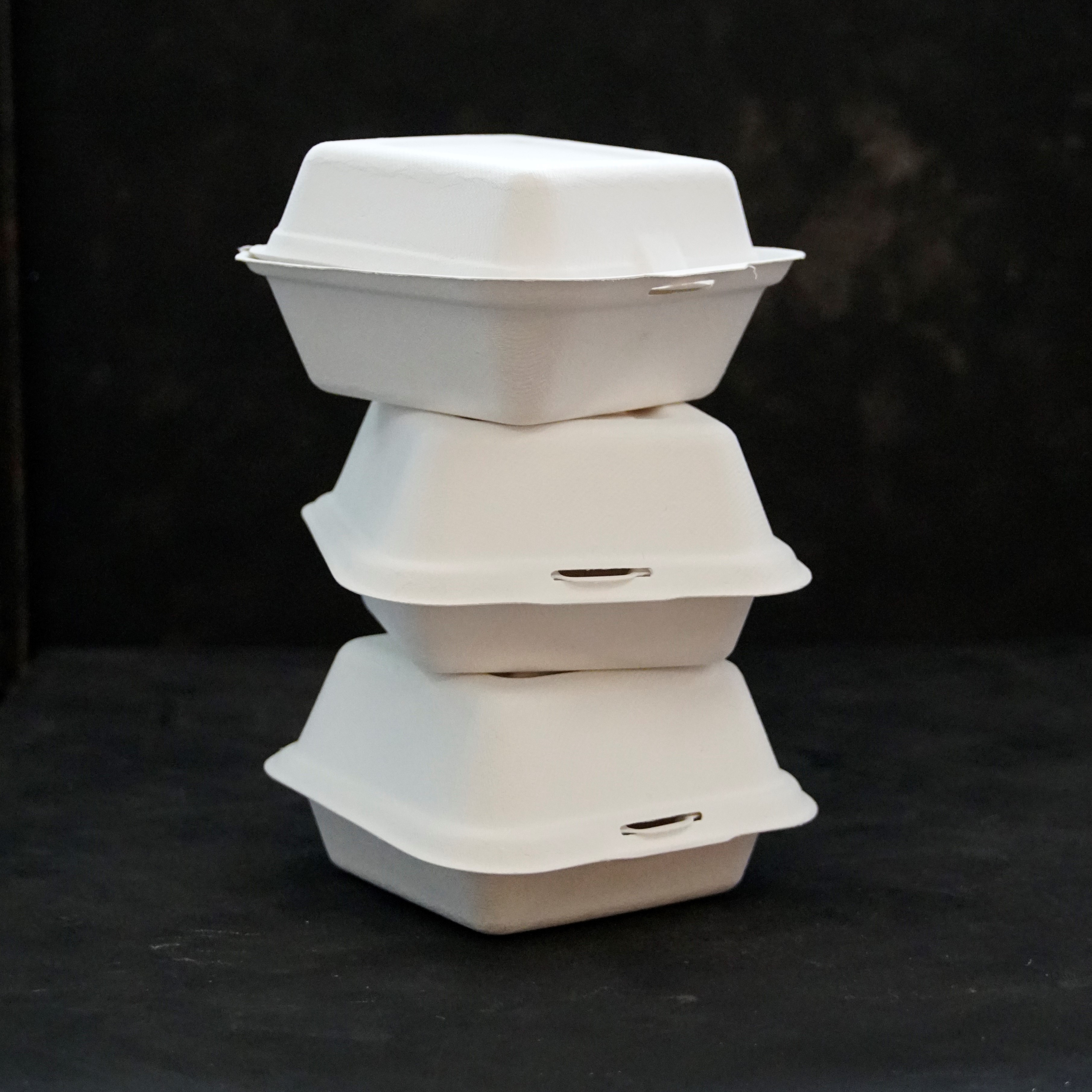 5er-Set Burgerböxli aus Zuckerrohr-Restfasern