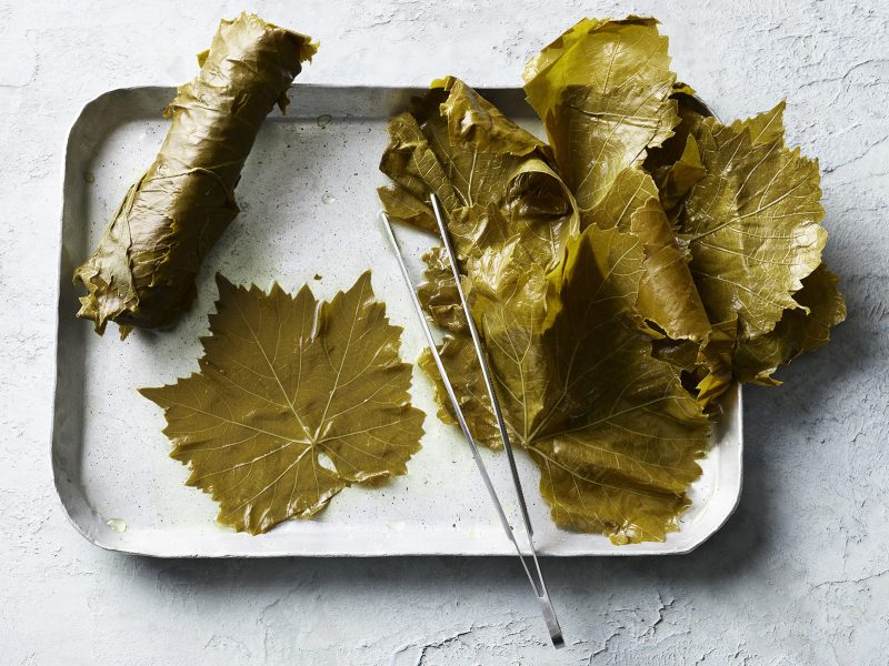 stimmungsbild_eingelegtre_weinblaetter_010525